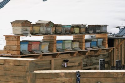 Folie-douce-Val-Thorens-JMV-Resort-architectes ruches