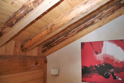 Résidence-Le-Cortina-Les-2-Alpes-JMV-Resort-architectes tableau poutre bois